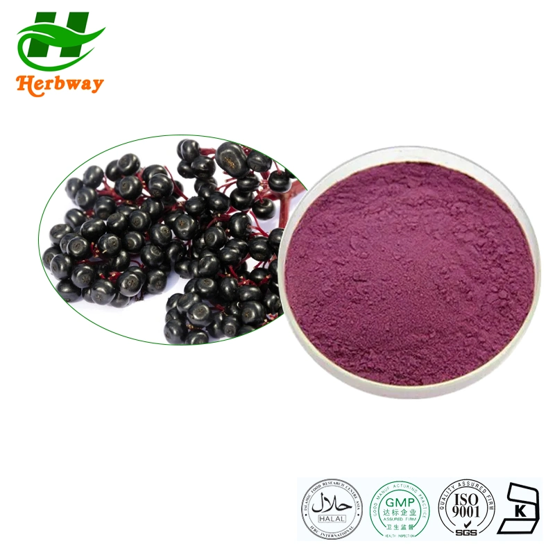 Кошерная Herbway кошерная Fssc HACCP сертифицированных облегчение боли Anthocyanins Elderberry извлечения