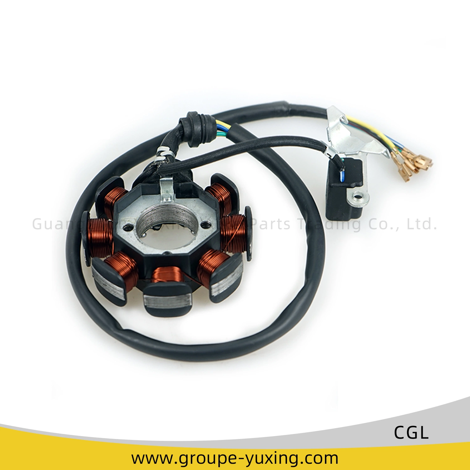 China Good Quality Motorcycle Magnetor Stator Coil of Motorcycle Spare Parts