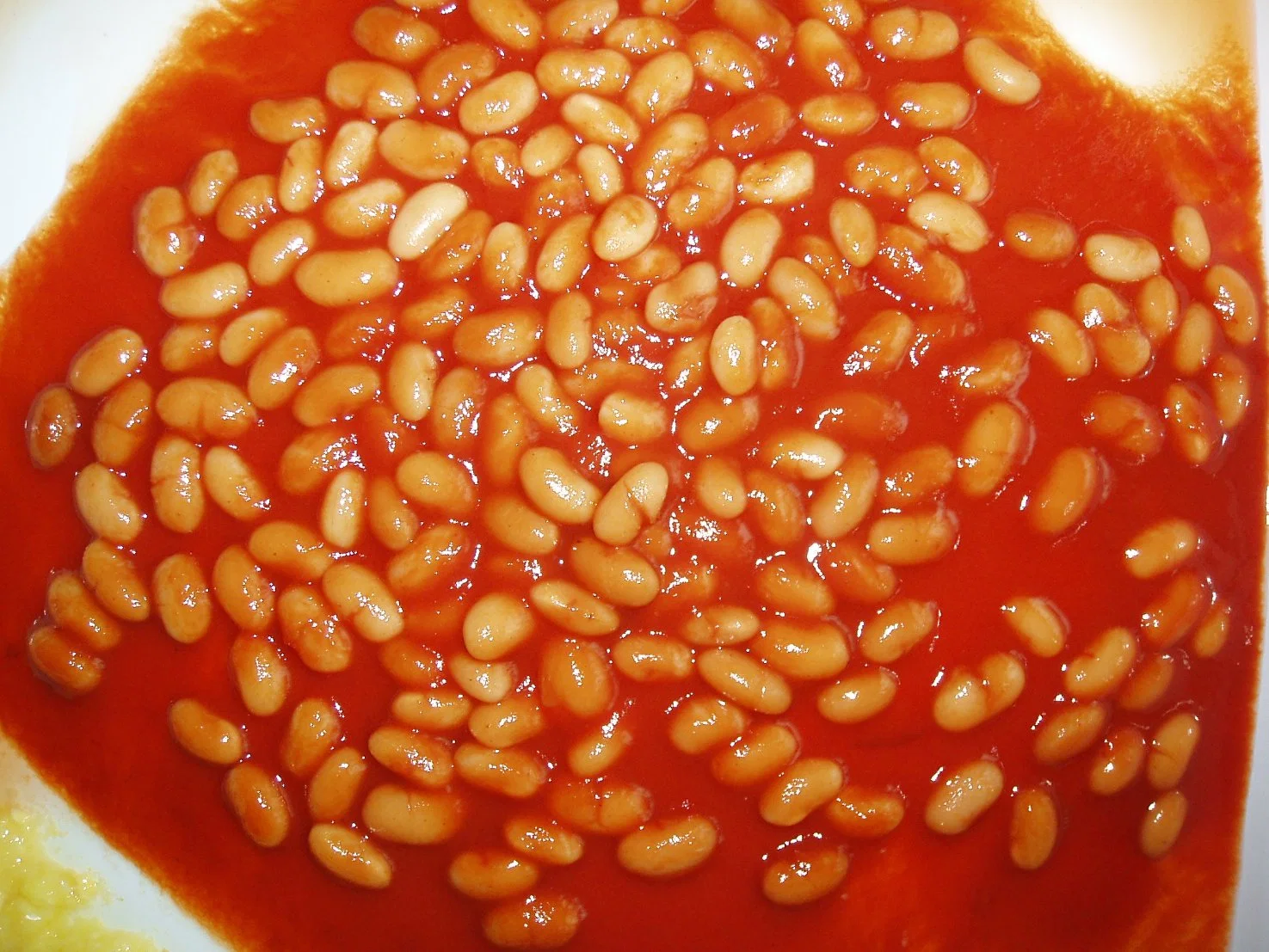 Natural Crop Canned Baked Beans in Tomato Sauce in OEM