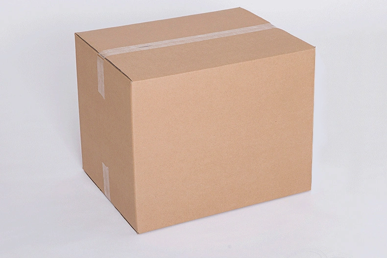 Caisse d'expédition standard Ocean carton médical ondulé 5 plis