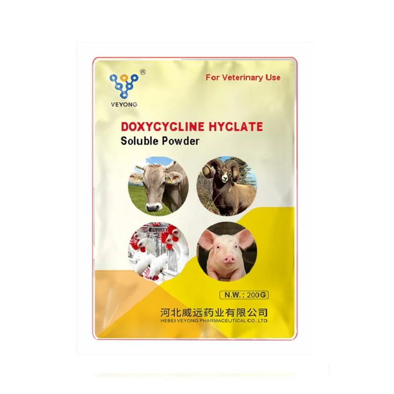 الطب البيطري التغذية الحيوانية 15 ٪ Gentamycin +15 ٪ Doxycycline HCl المياه مسحوق قابل للذوبان