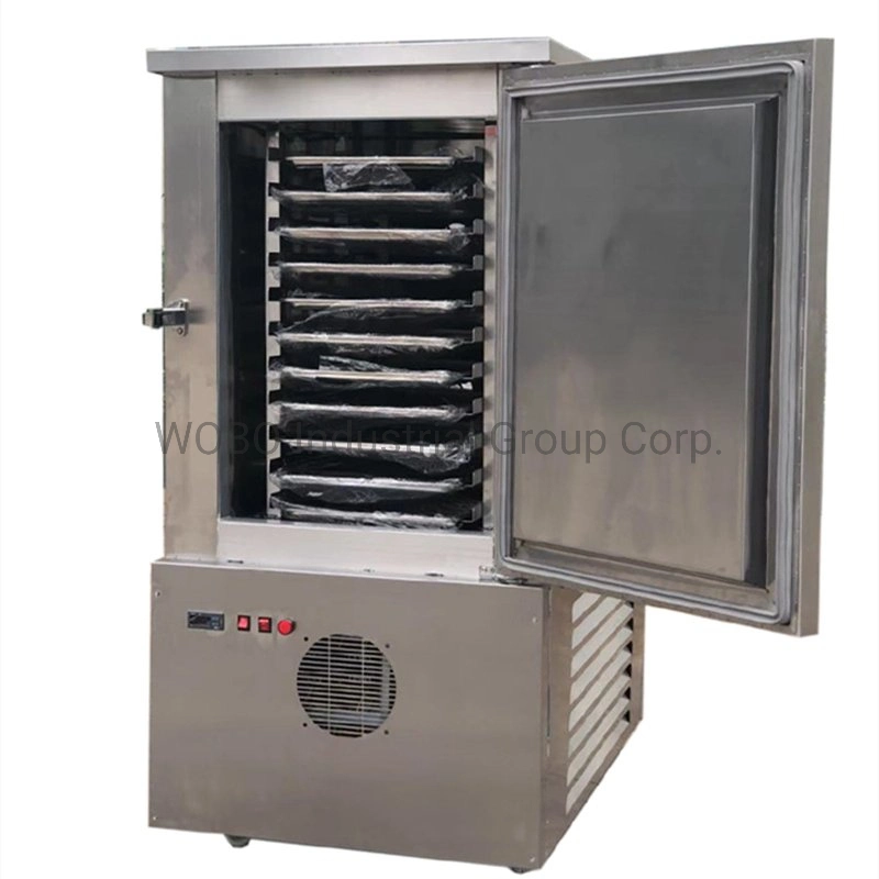 IQF Blast Quick Freezer Air Cooling for Fruit Vegetables