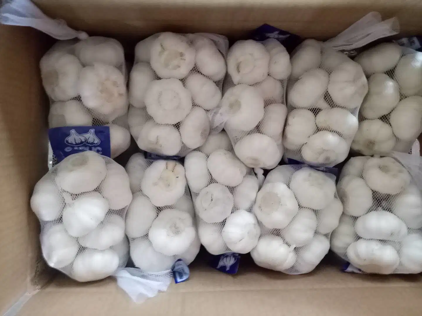 2018 Shandong Fresh White Garlic with Good Price