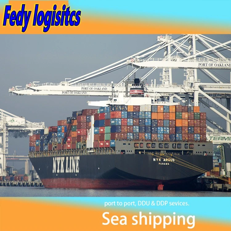 20gp/40gp/40hq/45hc Sea Freight Shipping Container From China to Southeast Asia Singapore/Malaysia/Thailand/Indonesia/Philippines/Vietnam of LCL and FCL