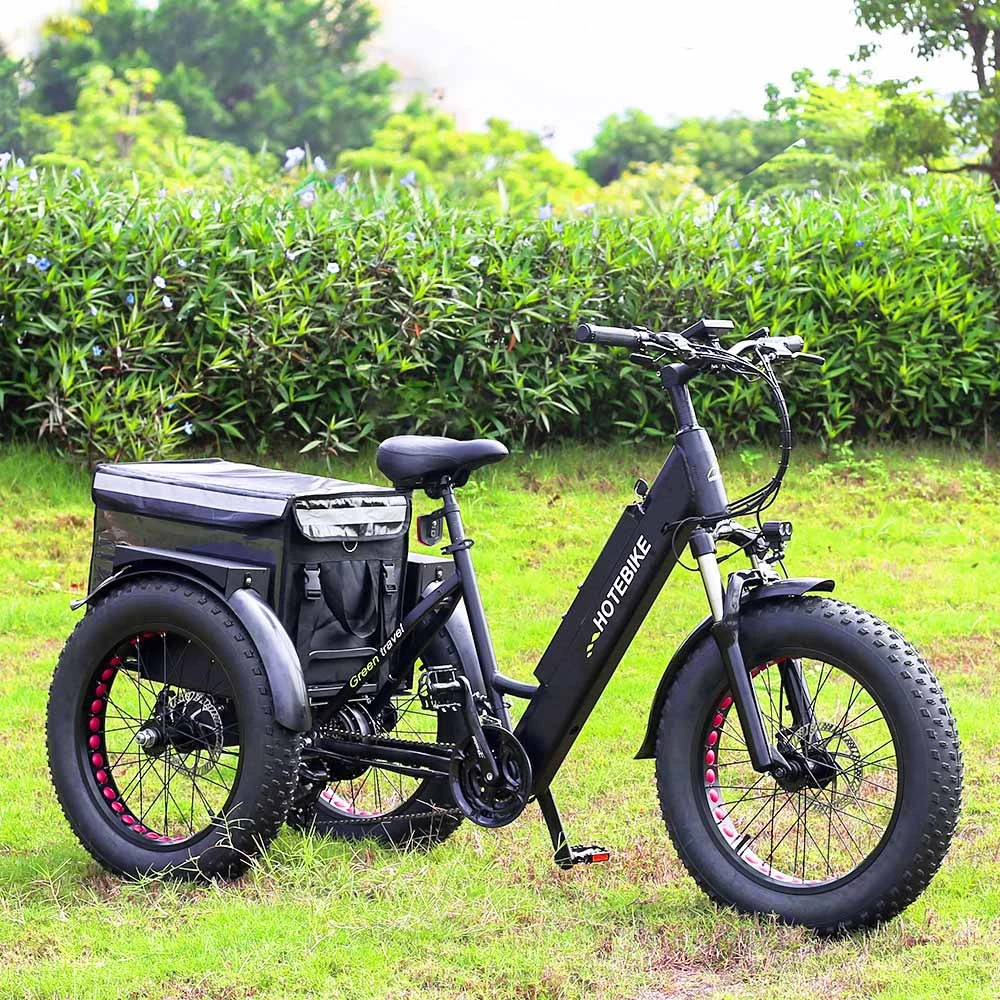 Hot Sell Cheap Trike Bike 13ah Lithium Battery Electric Tricycle 3 Wheel Electric Cargo Bike