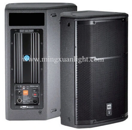 1000W Professional Speaker for Outdoor Sound System