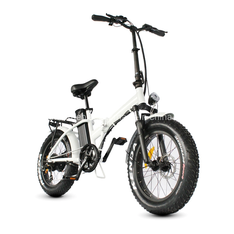 Classic 20" 500W 48V Mountain Electric Bicycle / Electric Bike / E Bike with CE