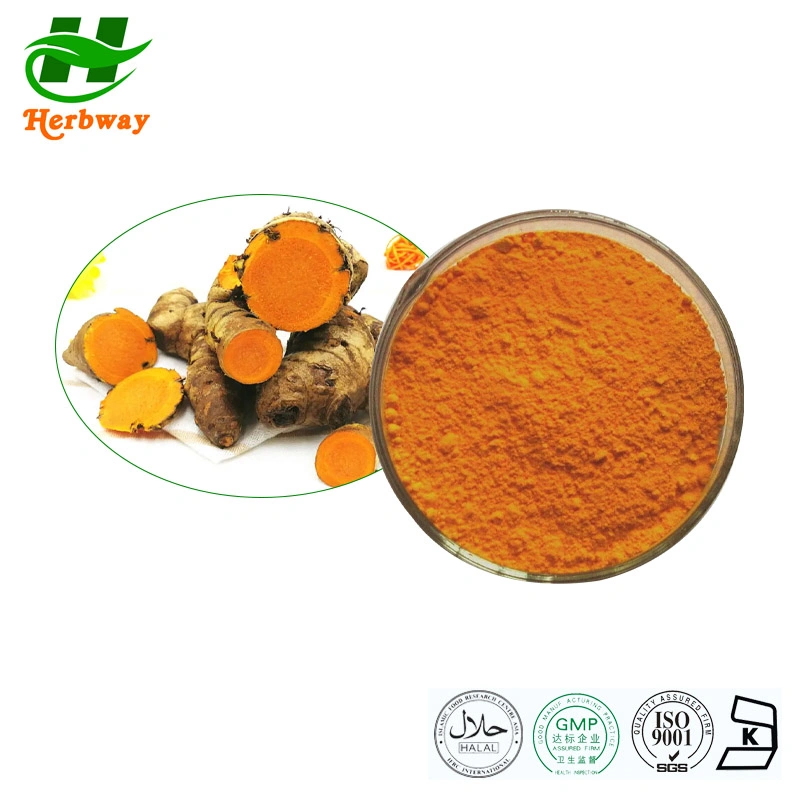 Herbway Kosher Halal Fssc HACCP Certified Tumeric Extract Curcumin Curcumin Extract Powder for Food Additive