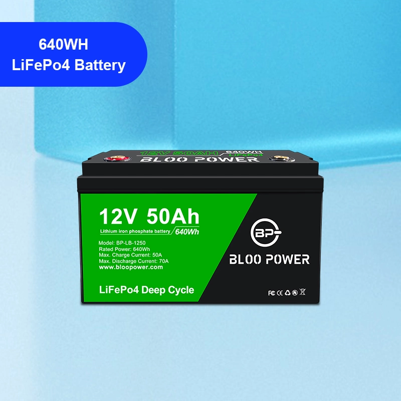 Bloopower 12V 24V 36V 48V 50ah Sealed Rechargeable Power Supply Solar Energy Storage System Lithium Battery