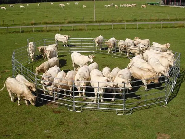 Multifunctional Hot Sales Sheep Goat Dog Rural Farm Mesh Fencing