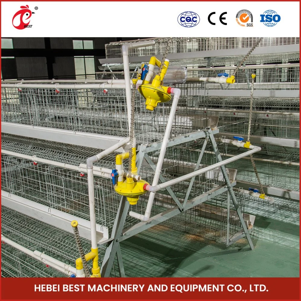 Bestchickencage a Type Layer Cage China Indoor Chicken Layer Cage Factory OEM Custom Heat a Chicken Layer Coop Configuration Chicken Coop Heater