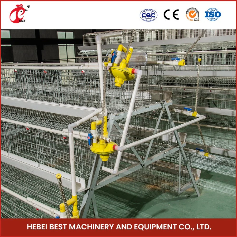 Bestchickencage a Type Layer cage China Indoor Chicken Layer cage Usine OEM Custom Heat a Chicken Layer Coop Configuration Chicken Chauffage Coop