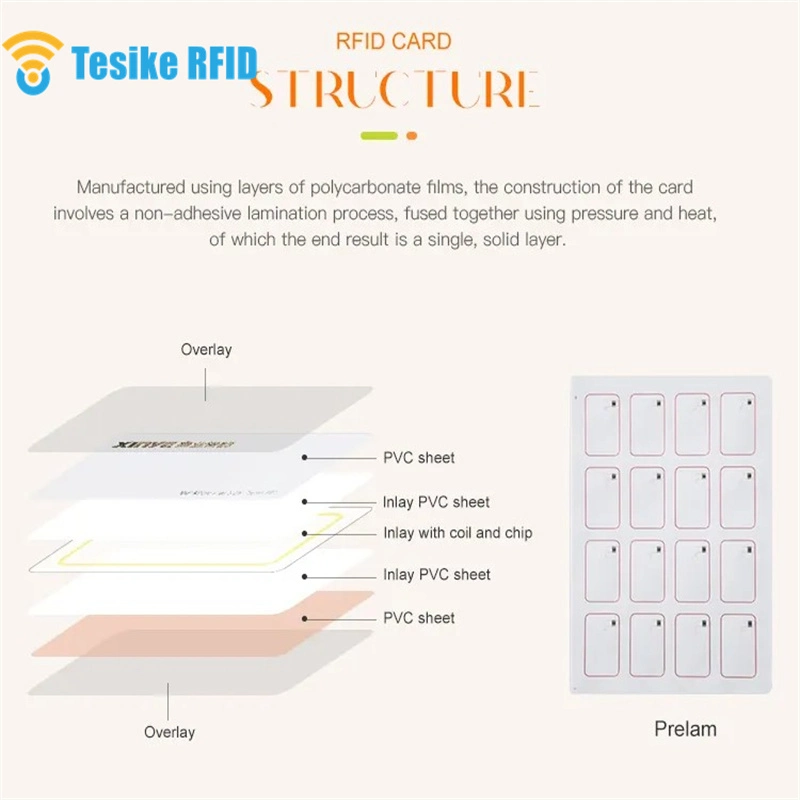 Dual Frequency Tk4100&F08 Chip RFID Card with Cmyk (ODM/OEM)