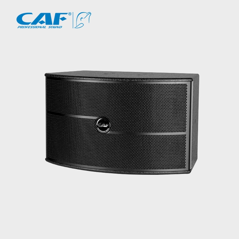 10 Inch Mini Speaker Home Audio