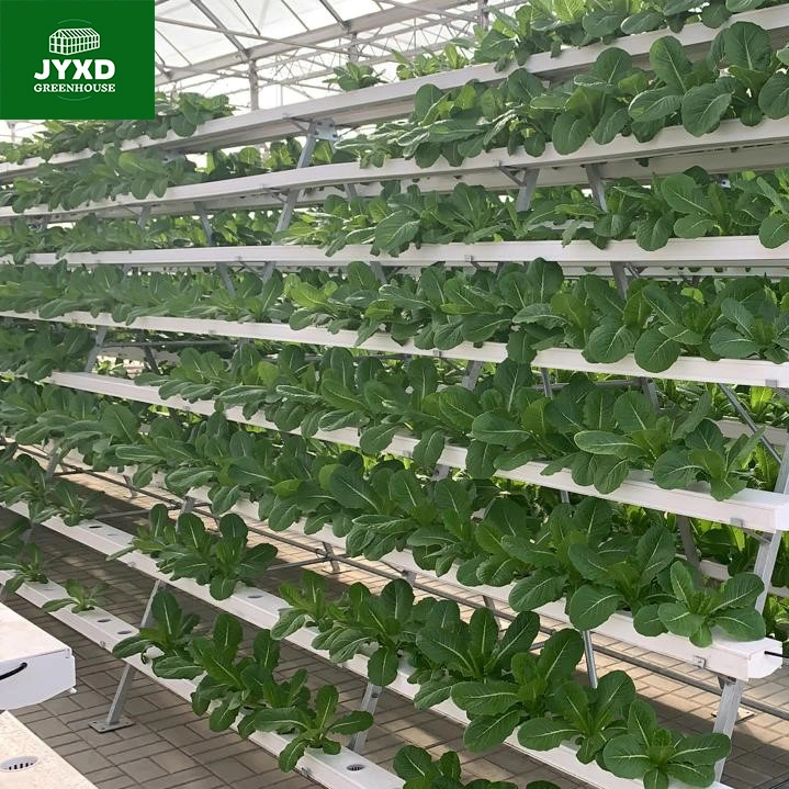 La agricultura moderna Multi-Span de efecto invernadero de cristal personalizado con el sistema de cultivo hidropónico sistema de riego de hortalizas Frutas Flores lechuga