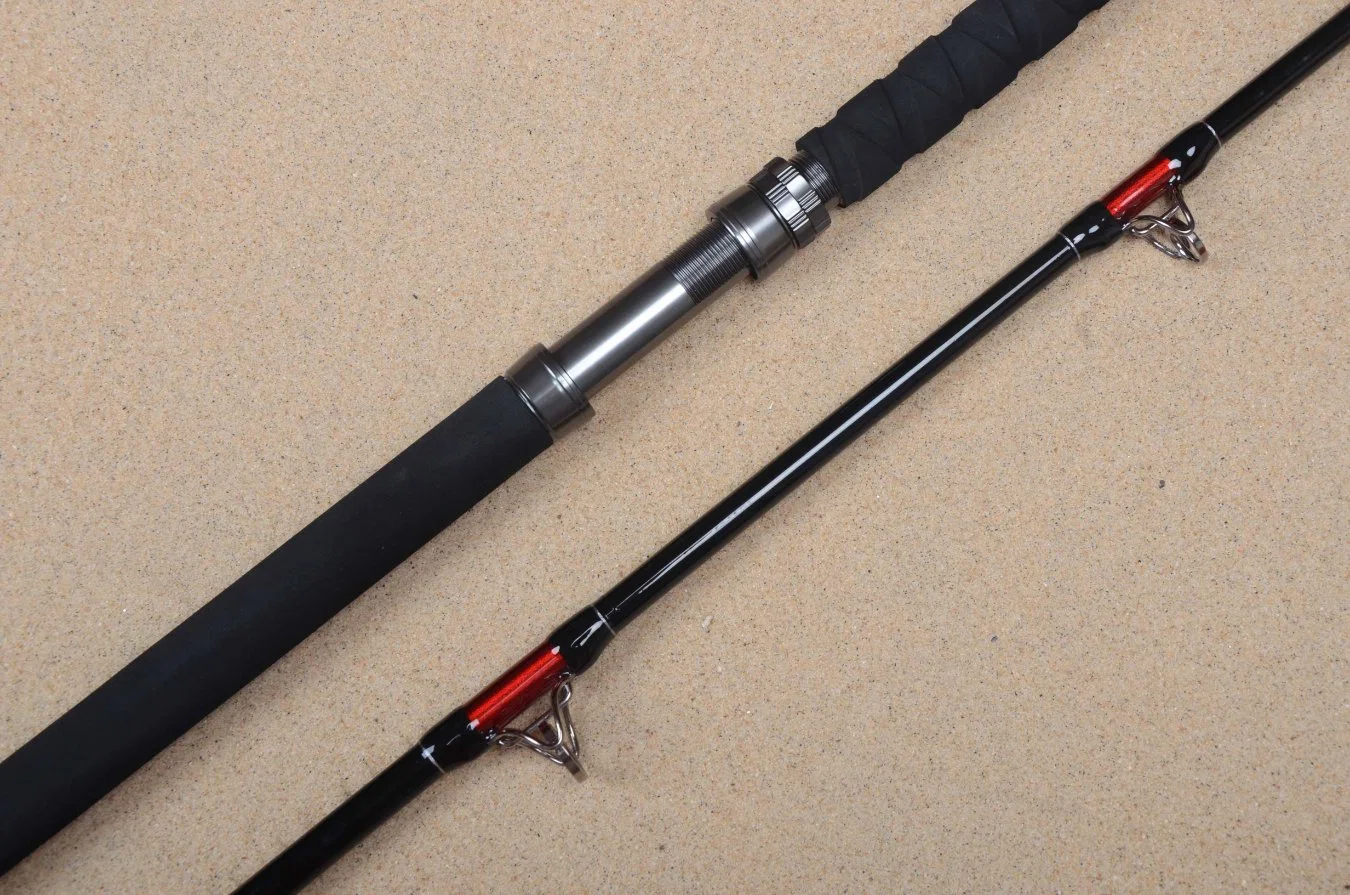 Wholesale/Supplier Nano Resin Graphite Catfish Fishing Rod