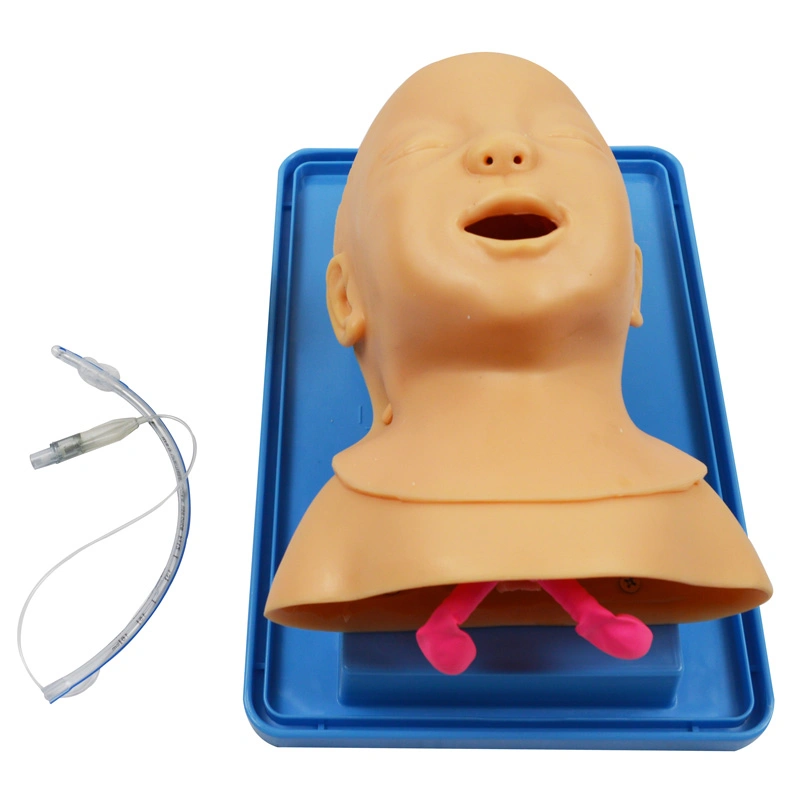 Good Price Classical Intubation Training Model