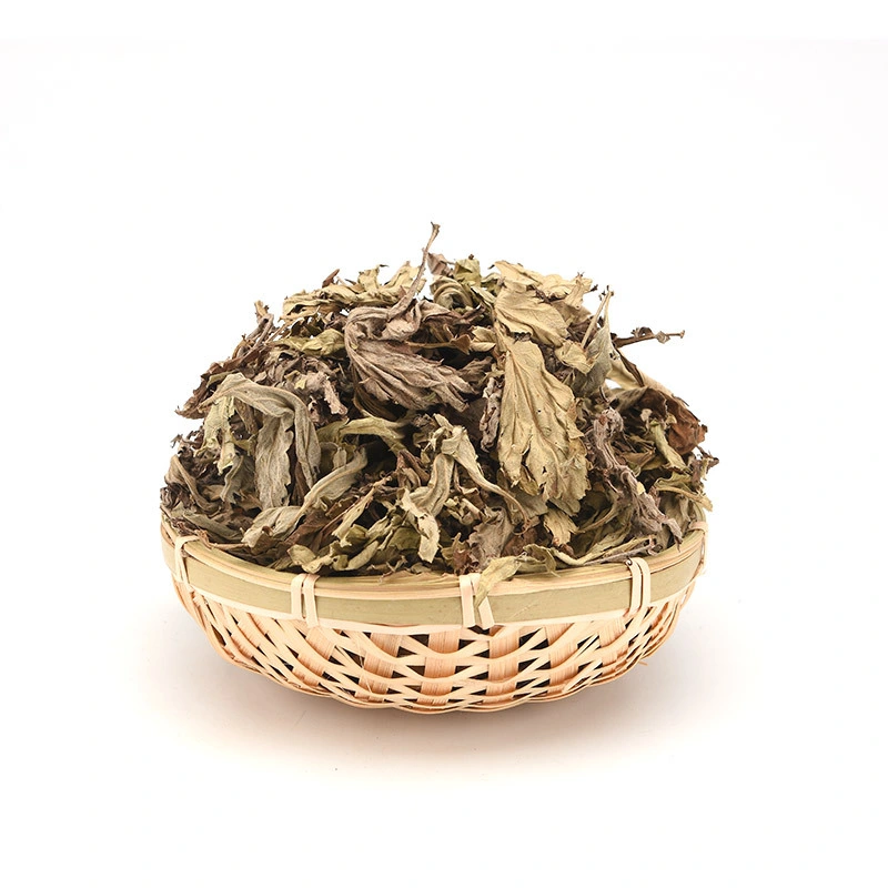 Ai Cao Chinese Herb Medicinal Wholesale/Supplier Price Dry Leave Mugwort