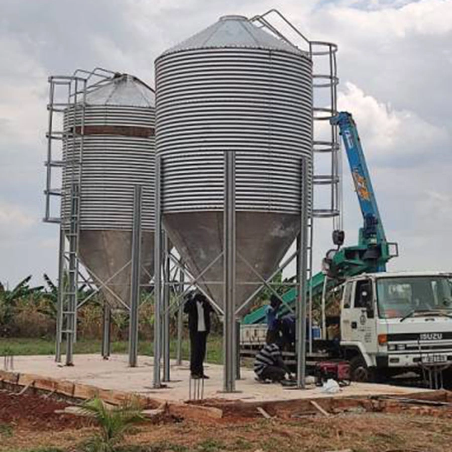 Bajo Precio almacenamiento de alimentos para pollo aves de corral equipos agrícolas con galvanizado Metal