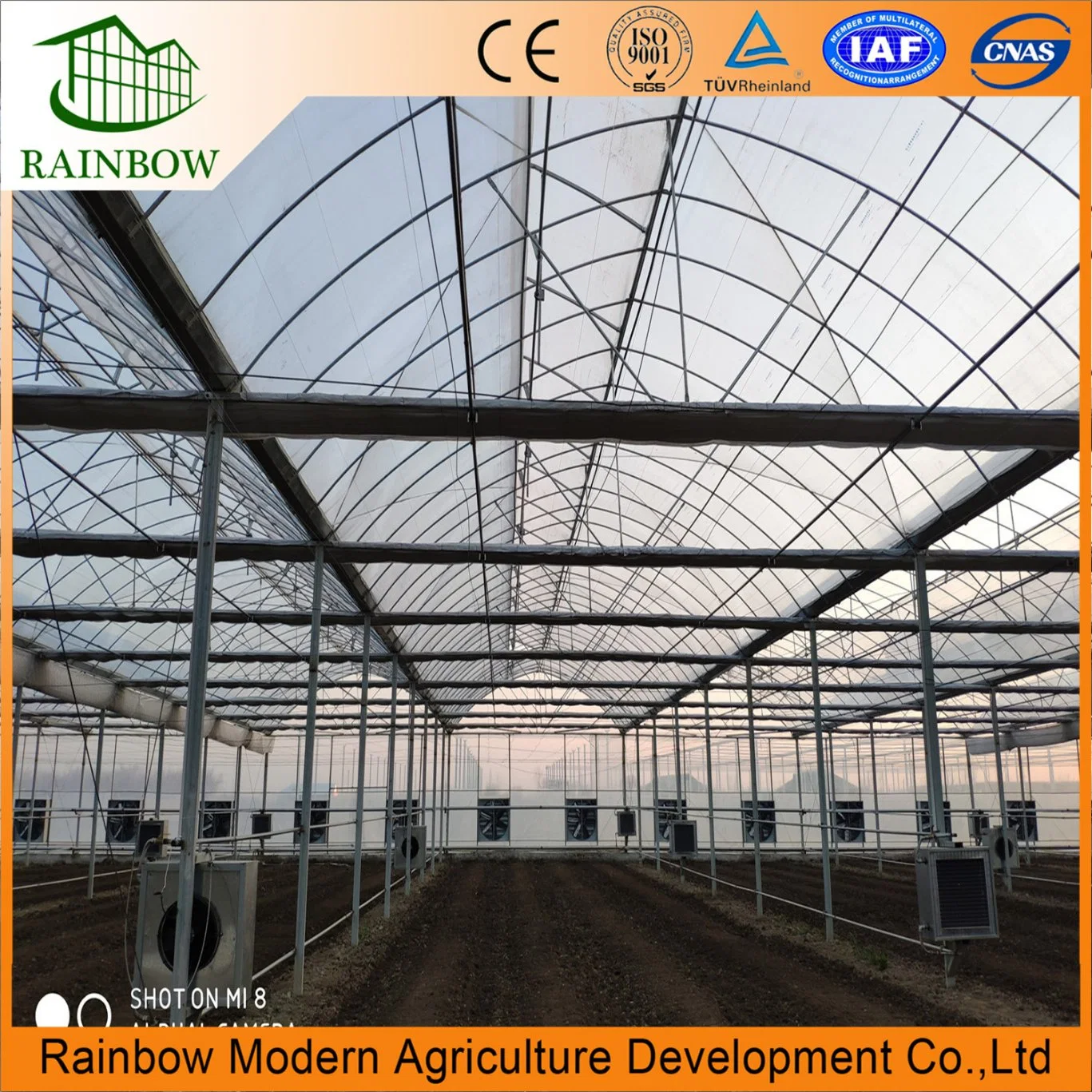 Modren Agriculture Greenhouse Hydroponics Growing System