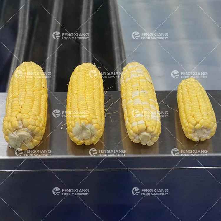 Sortierer und Sortiergeräte für Maisschnecken – Sortierung von Kartoffeln und Karotten Maschine