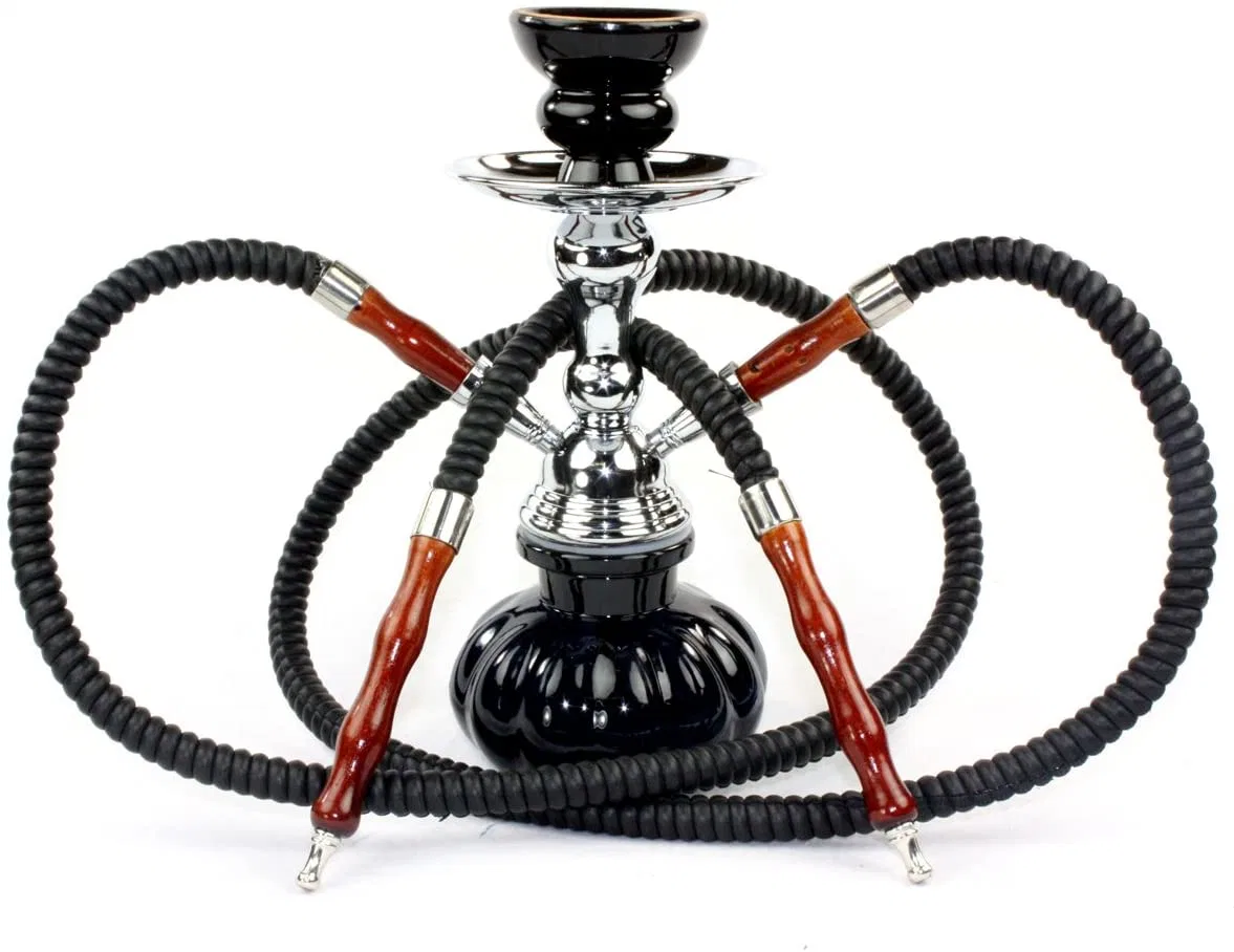 Großhandel kleine tragbare Hookah Set mit 2 Rohr Schlauch