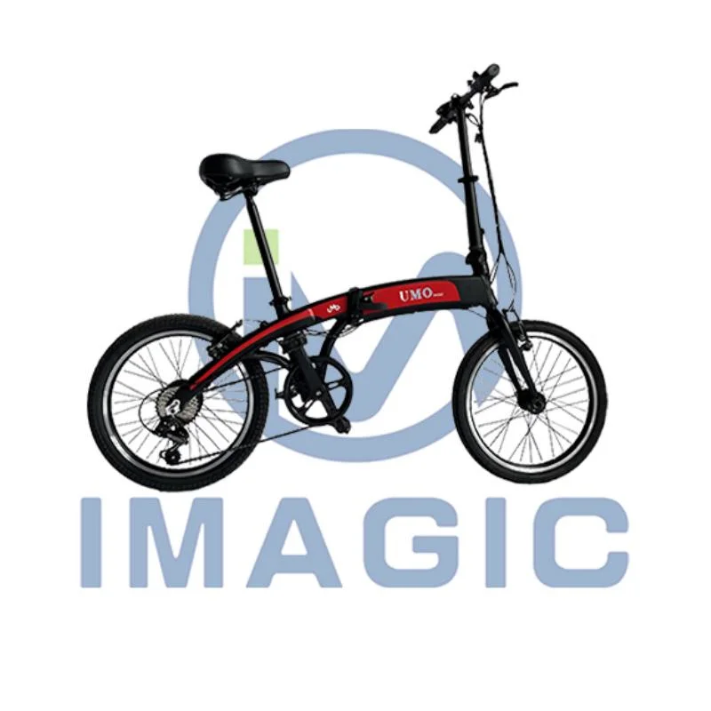 36V Vélos électriques légers de haute qualité pour enfants Vélo électrique de ville 20 pouces
