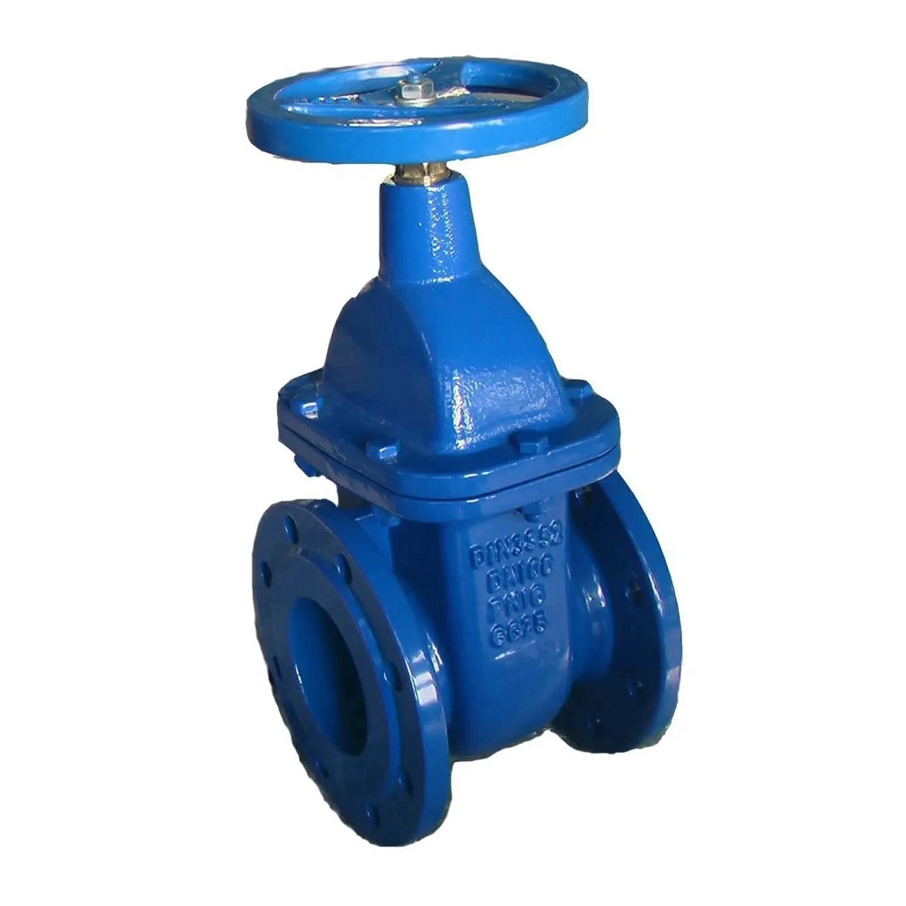 Rising Stem Type Gate Valve