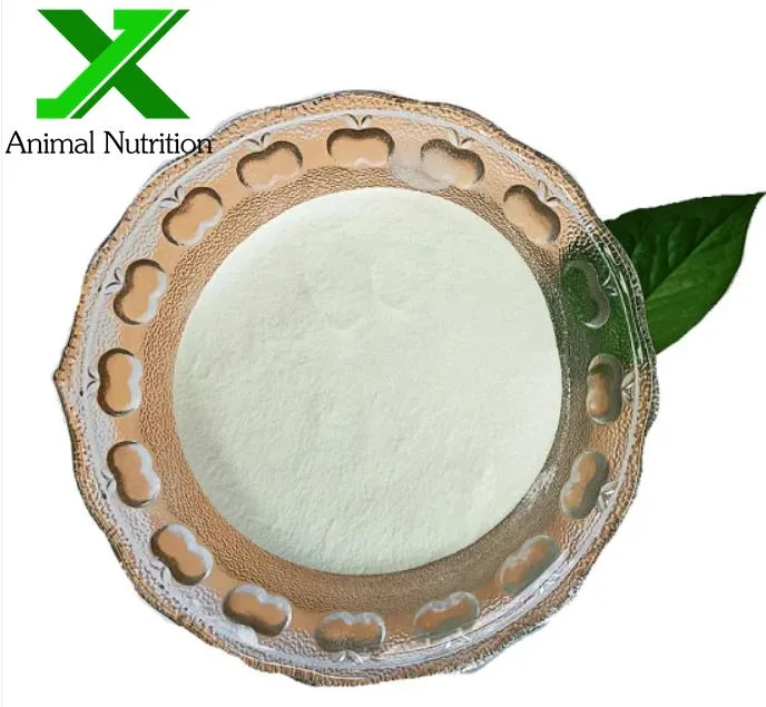 شهادة عضوية حامض أمينو مستخرج الشاي الأخضر L-Theanine Powder L ثياين