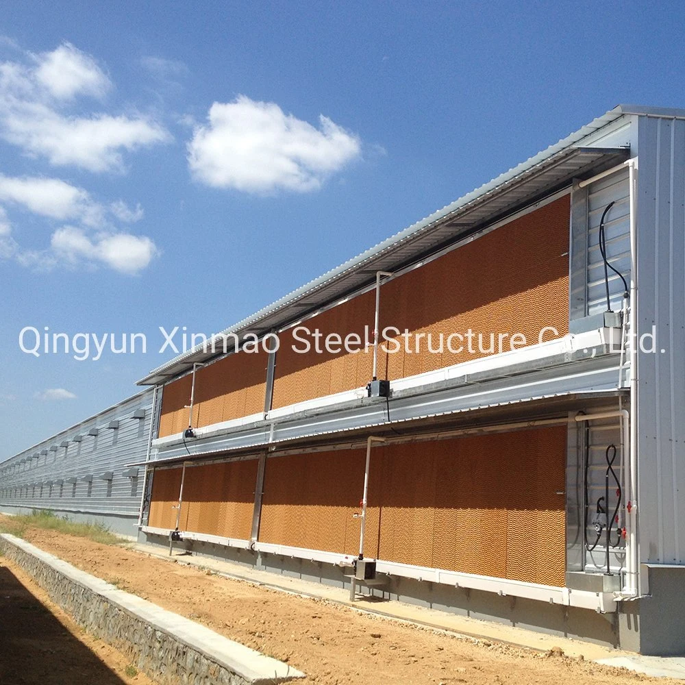 Durable Steel Structure Poultry House Building for Bulk Export