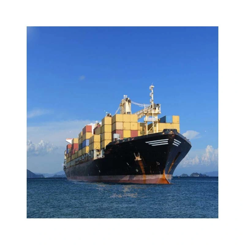 Sea Freight Fowarder, Shipping Agent From China to UAE