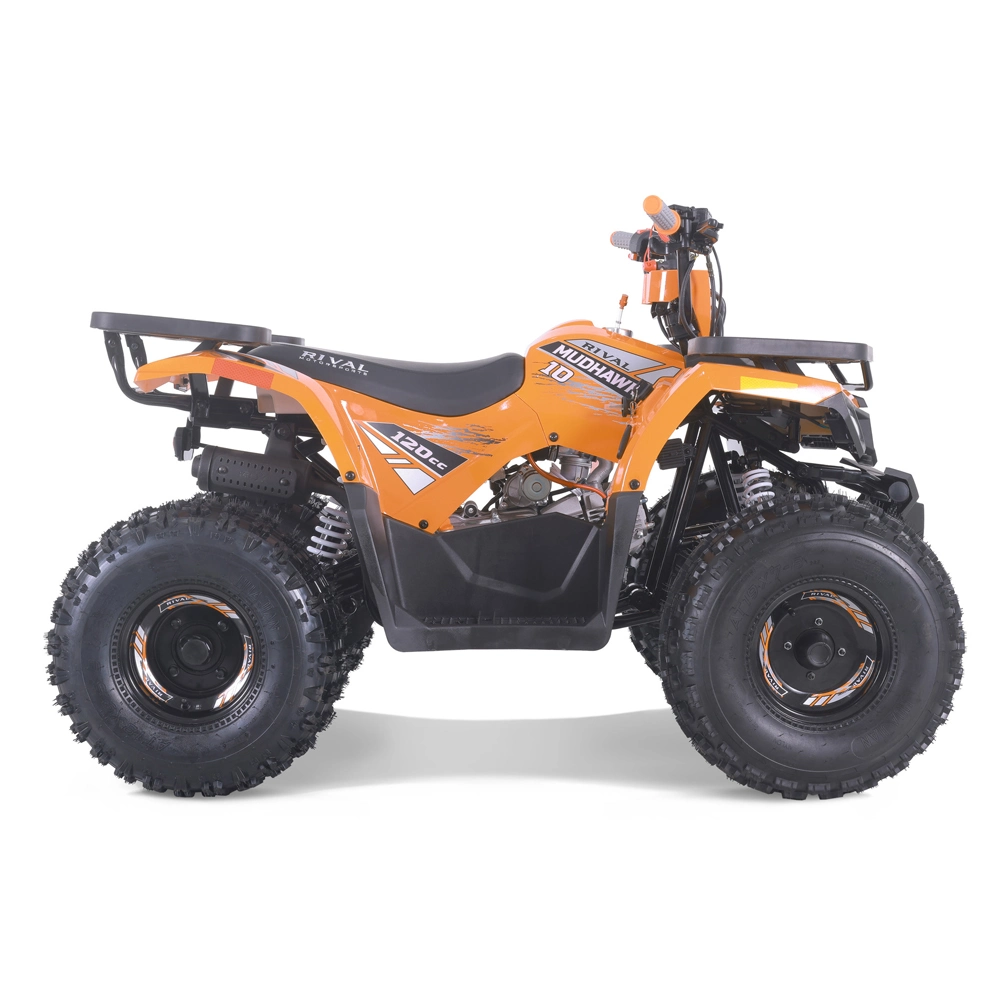 Hot Sales Quad Bike 125 cm3 ATV avec EPA ce