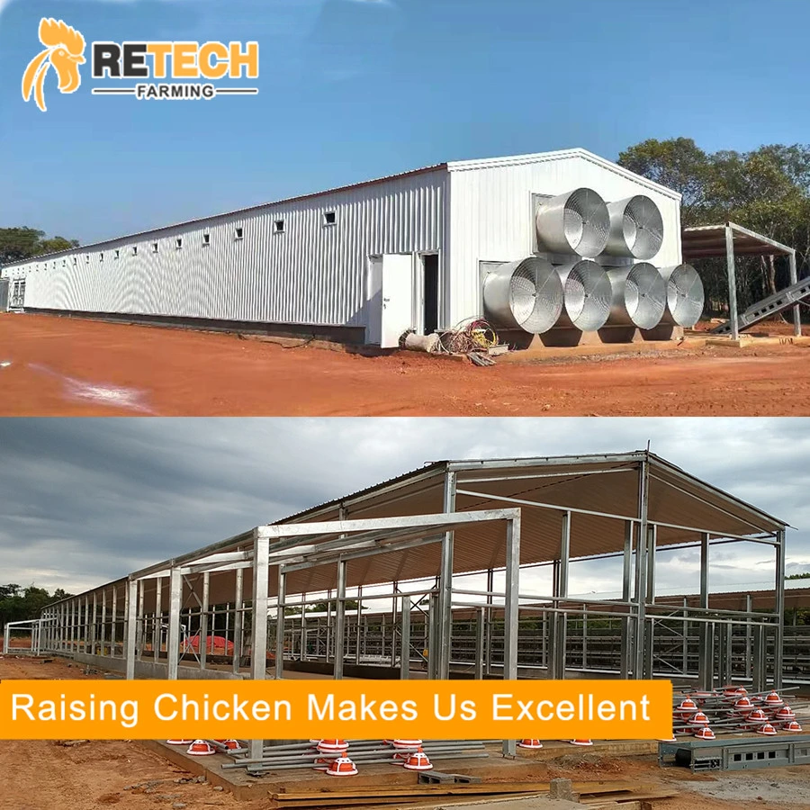 Best Chicken Raising Equipment Factory H Type of Layer Chicken Cages