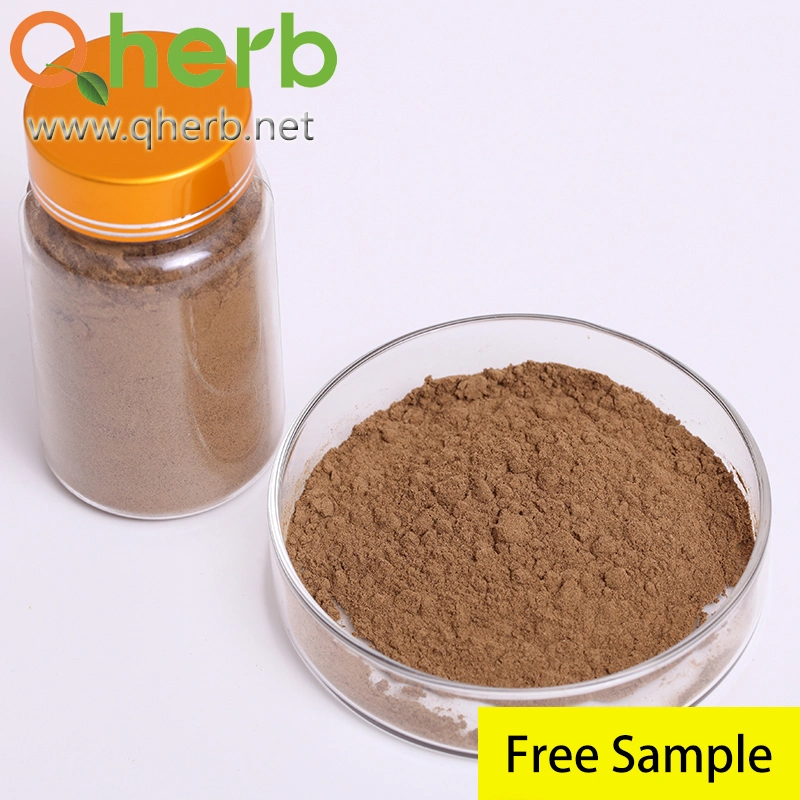 Natural Plant Extract Eleutherosides (B+E) >0.8% Acanthopanax Senticosus/Eleutherococcus Senticosus/Organic Siberian Ginseng Extract for Immune System