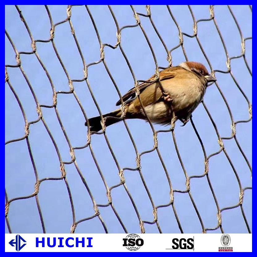 China Suppliers Gauge Chart High Strength Wire Mesh for Bird Feeders