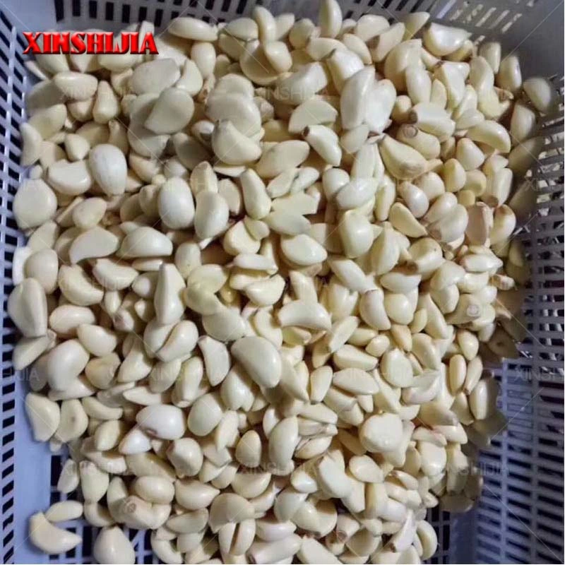 High quality/High cost performance  Stainless Steel Automatic Stainless Steel Garlic Skin Peeler