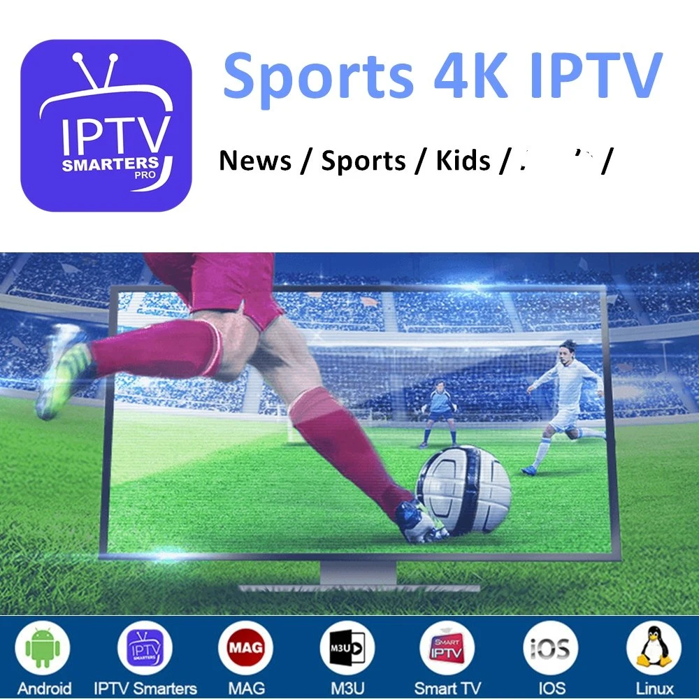 IPTV Reseller Panel Credits 4K M3u Subscription Stable Italia European Global Channels Italy USA Canada Android Smart Set Top TV Box