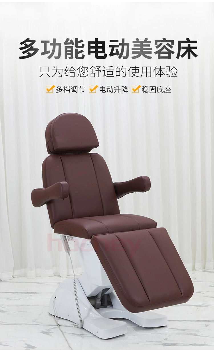 Hochey Hot Selling 3 Motors Electric Acupuncture Table Massage Table Bed Equipment Beauty Salon Furniture