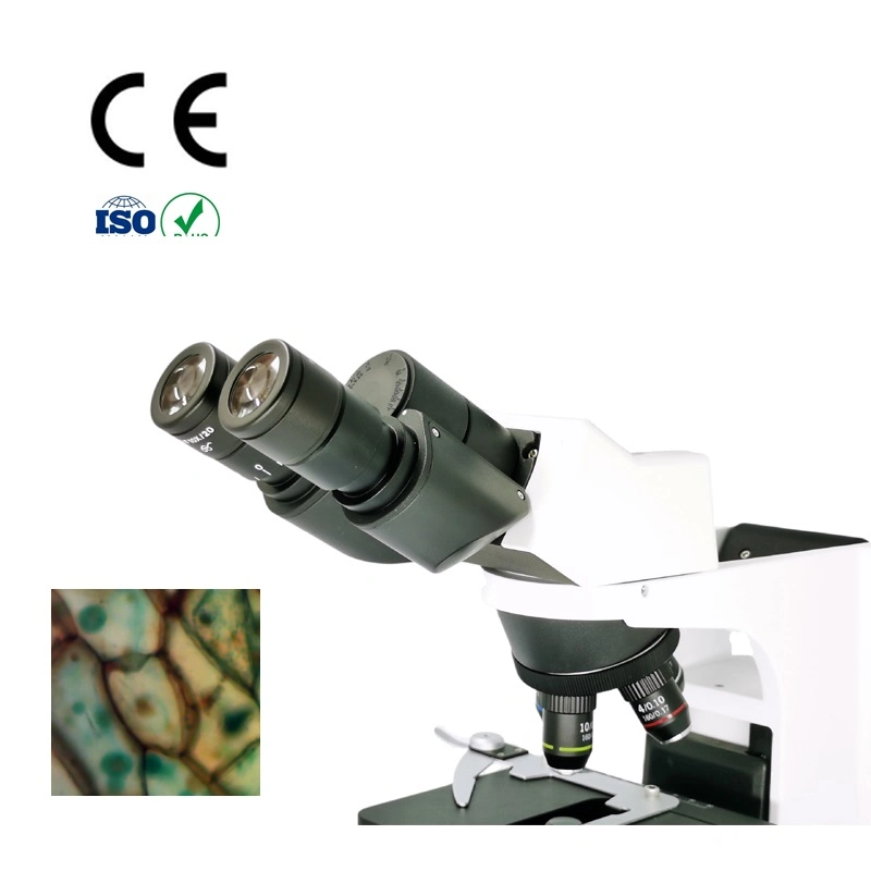 Microscopio Biológico Binocular de laboratorio con objetivo del Plan Infinito LWD 40X