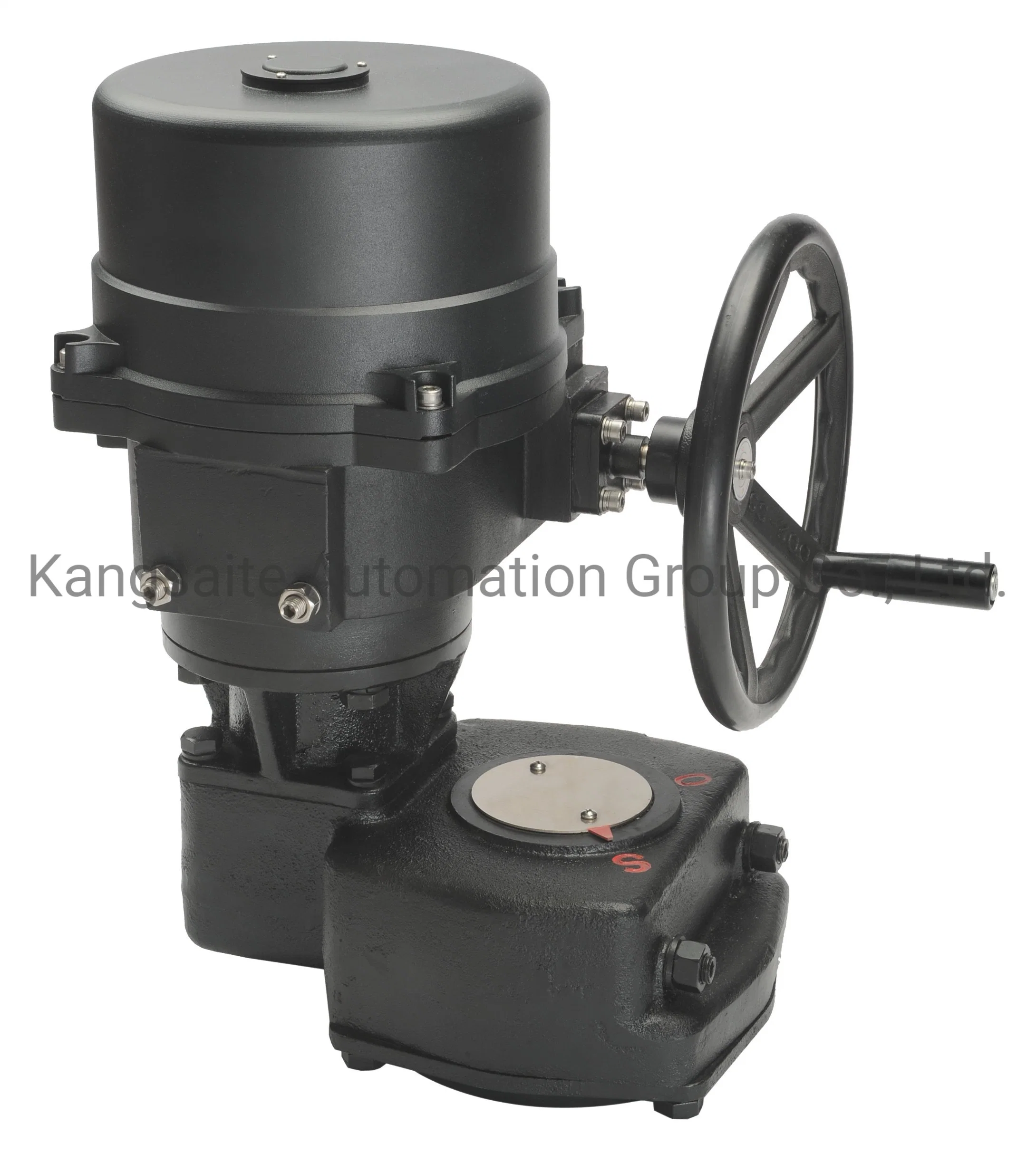 Q Series Electric Actuator with Worm Gear Box