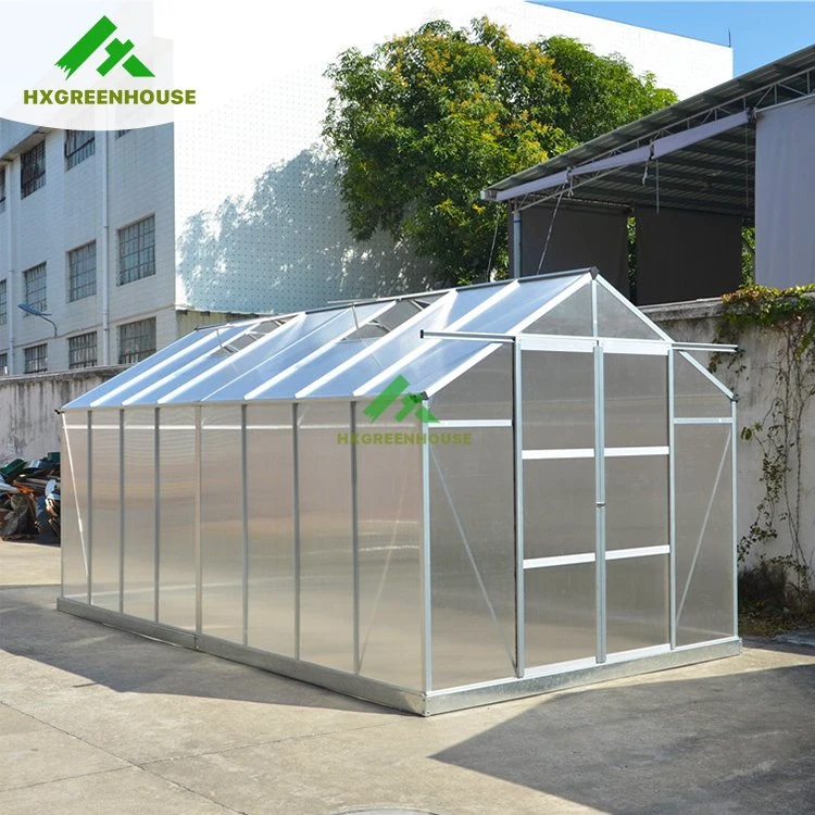 China pas cher la feuille d'hiver préfabriqués PC Green House Hobby luxe petit jardin en plastique polycarbonate serre pour la vente