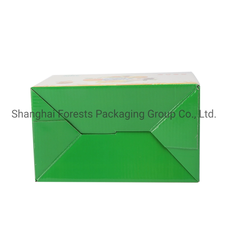 Custom Printing Wholesale/Supplier Food Fruit Vegetables Gift Shipping Box Paper Box