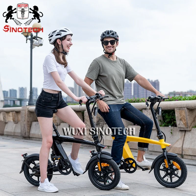 CE Certificate Swappable Lithium Low Speed Foldable Electric Mini Bike