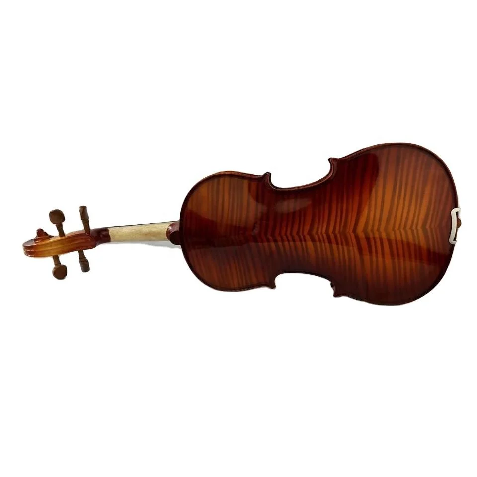 Hot Maple Advanced Sale China Carriage Case Violin