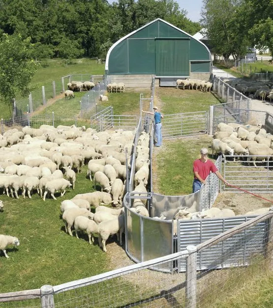 Panneau métallique de clôture de rail de mouton pour bétail agricole