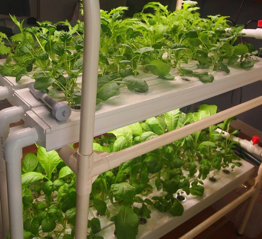 Hydroponics Nft System with 64 Holes Kits Vertical Hydroponic Growing Systems