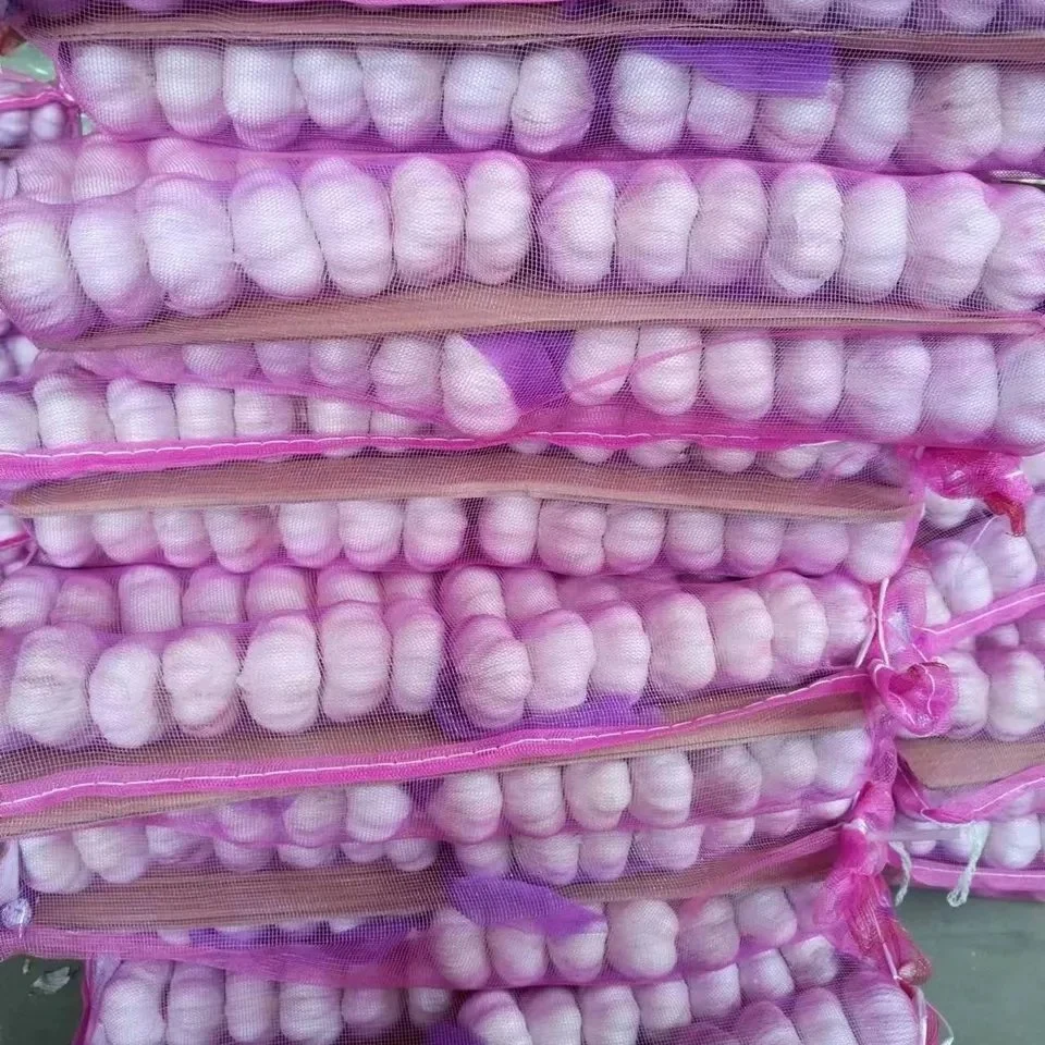 2023 Newest Crop of Garlic Import Chinese Garlic