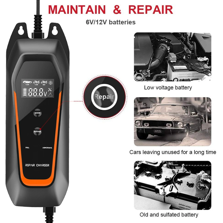 Edsun Plug-in Pulse Repair Standard Batterie 12V 6V Cable Car Akkuladegerät