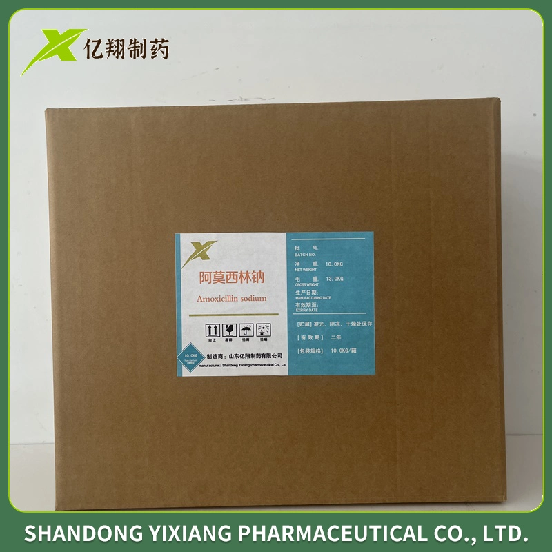 Pharmaceutique Chimique Amoxicilline Sodium CAS 34642-77-8 Antibiotique Amoxicilline Sodium Poudre de Matières Premières Amoxicilline Sodium