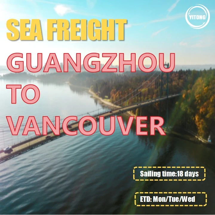 Mayorista Guangzhou China sea Freight Shipping Agent a Montreal Canadá